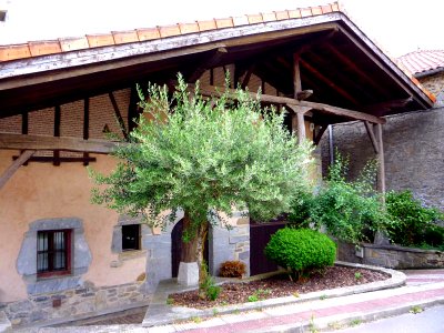 Izarra (Urkabustaiz) 25