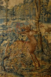 Jachten van Maximiliaan 16