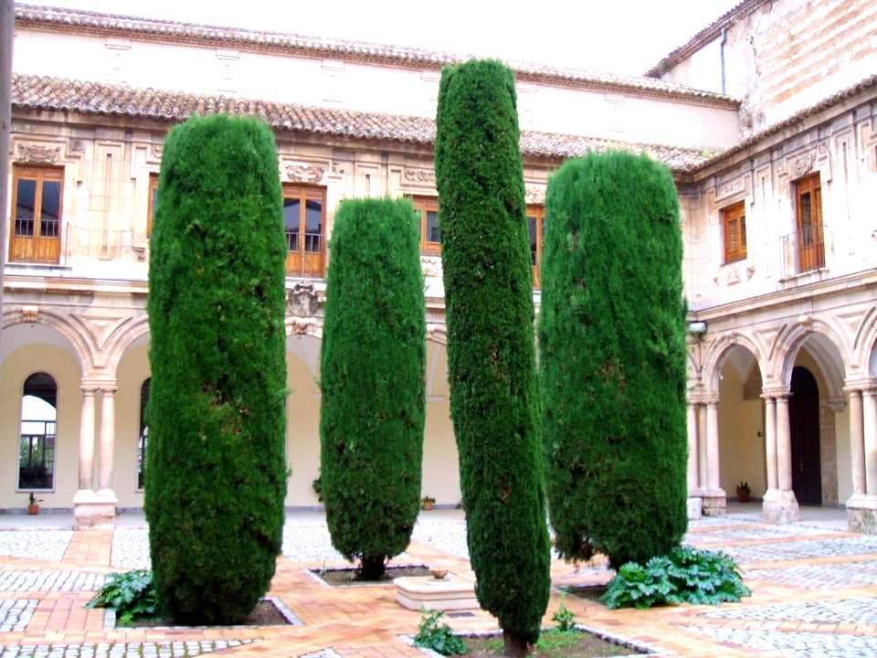 Jaén - Real Convento de Santo Domingo 5