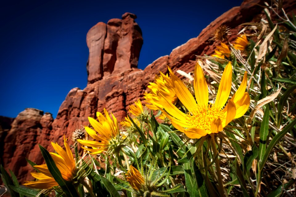 Mountains outcrop formation