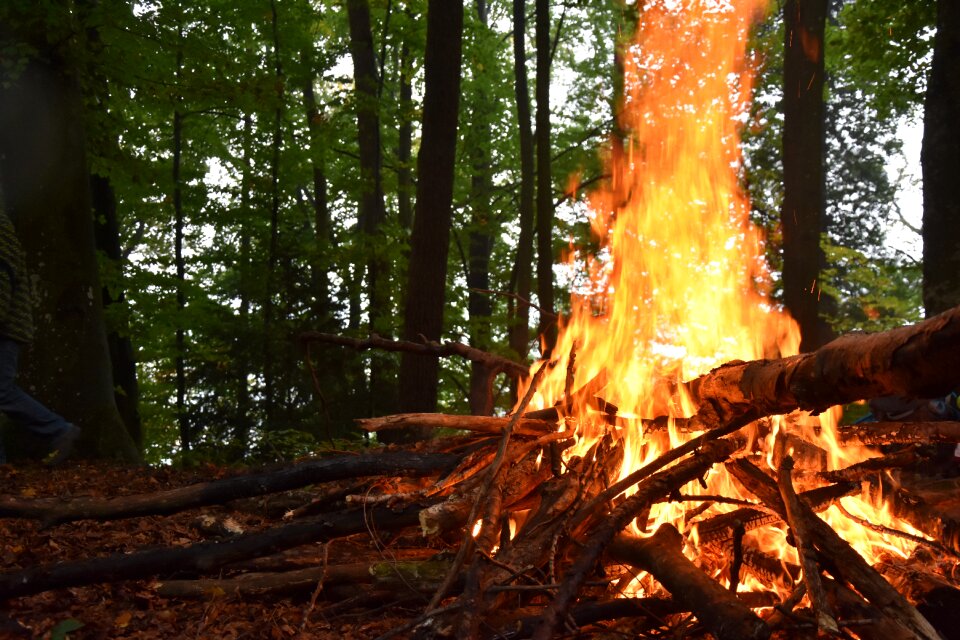 Firewood stack flame adventure