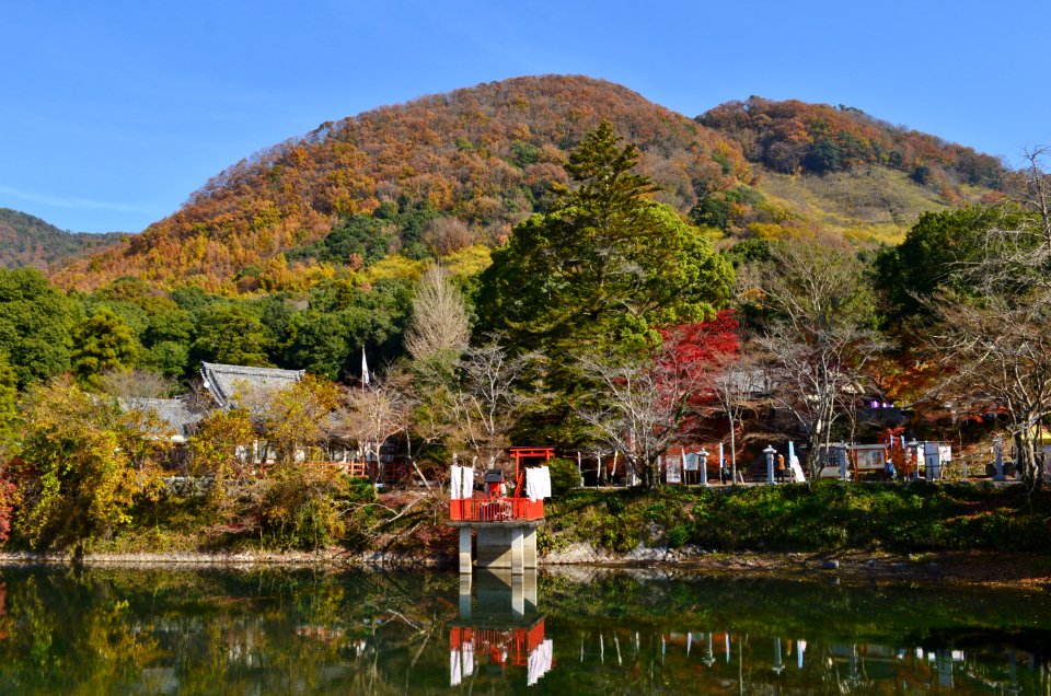 Izumo-daijingū mikageyama-3