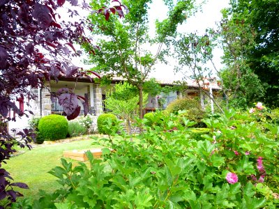 Izarra (Urkabustaiz) 34