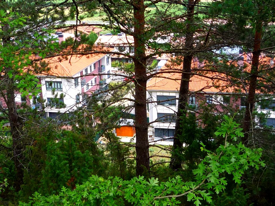 Izarra (Urkabustaiz) 36