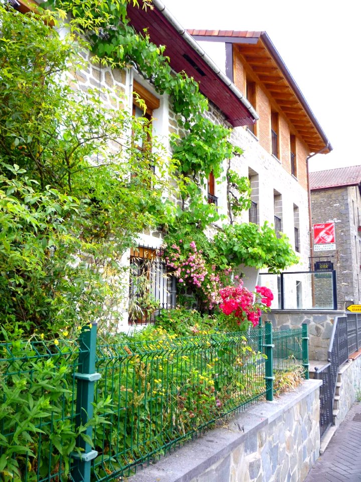 Izarra (Urkabustaiz) 24