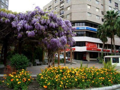 Jaén - Plaza de la Constitución 2