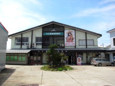 JA Ugo Head Store