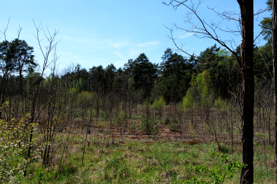 Jägersberg-Schirknitzberg 2021-05-09 40