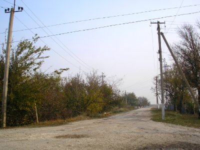 IzobilnoeNizn 6