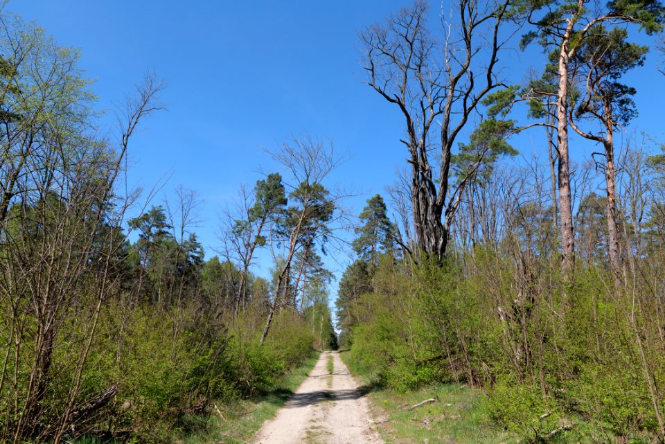 Jägersberg-Schirknitzberg 2021-05-09 34