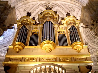 Jaén - Catedral, órgano 4