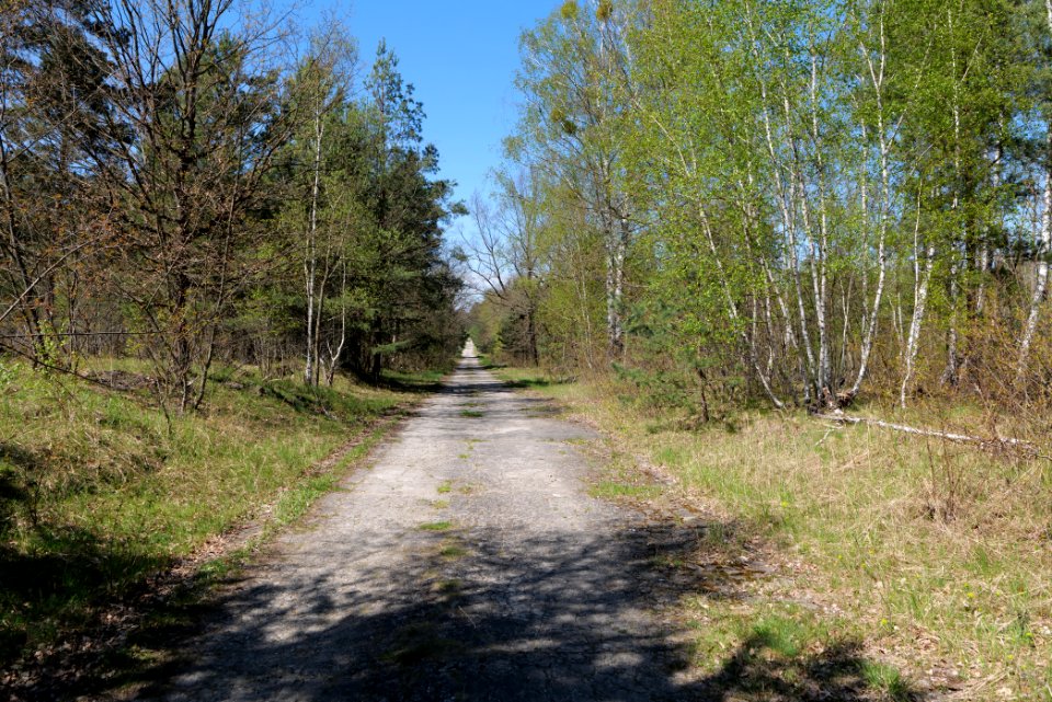 Jägersberg-Schirknitzberg 2021-05-09 35