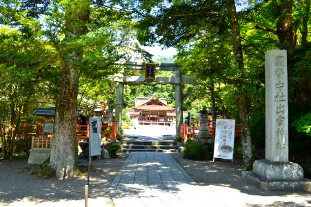 Izumo-daijingū torii-2