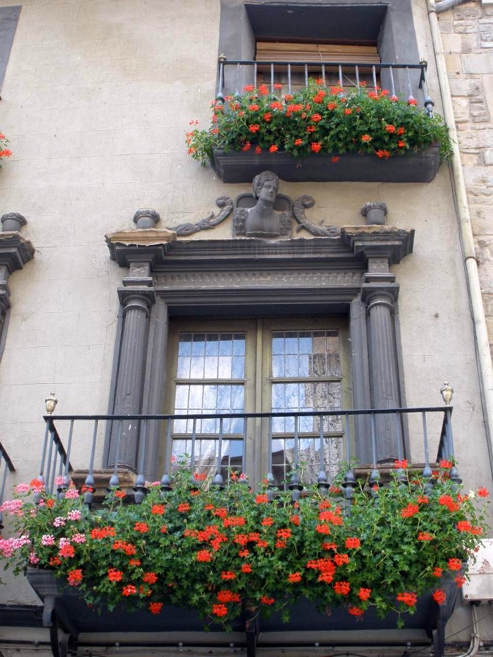 Jaca - Plaza de la Catedral 3