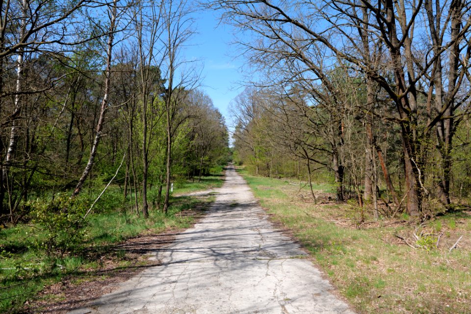Jägersberg-Schirknitzberg 2021-05-09 47