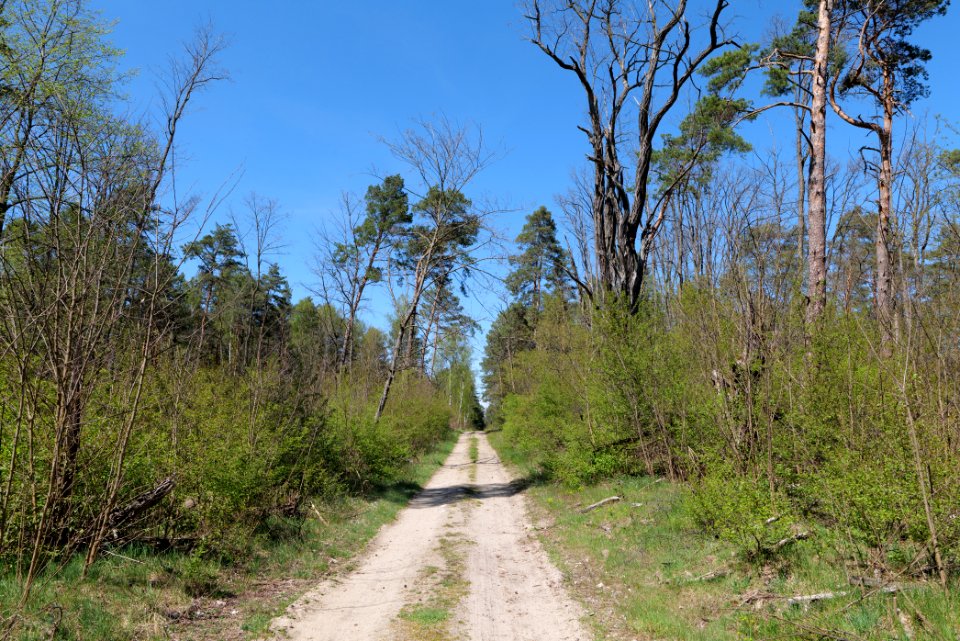 Jägersberg-Schirknitzberg 2021-05-09 31