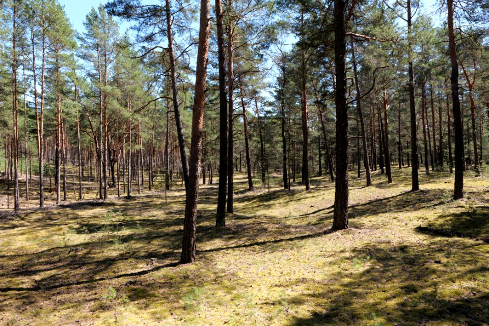 Jägersberg-Schirknitzberg 2021-05-09 25