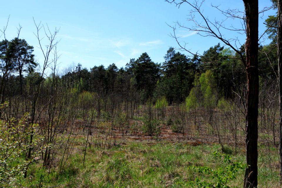 Jägersberg-Schirknitzberg 2021-05-09 41
