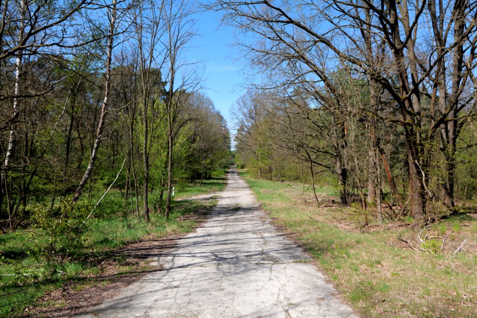Jägersberg-Schirknitzberg 2021-05-09 46
