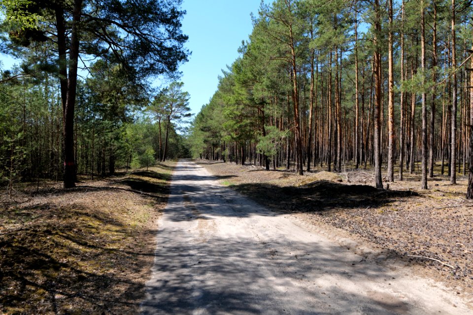 Jägersberg-Schirknitzberg 2021-05-09 02