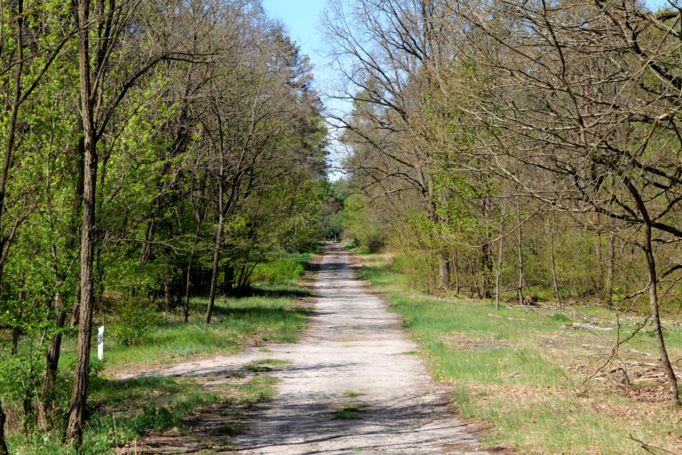 Jägersberg-Schirknitzberg 2021-05-09 49
