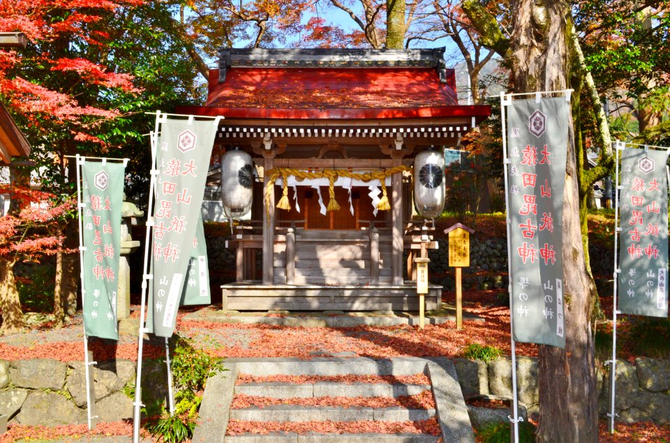Izumo-daijingū keigaisha (Kurodayū-sha)-3