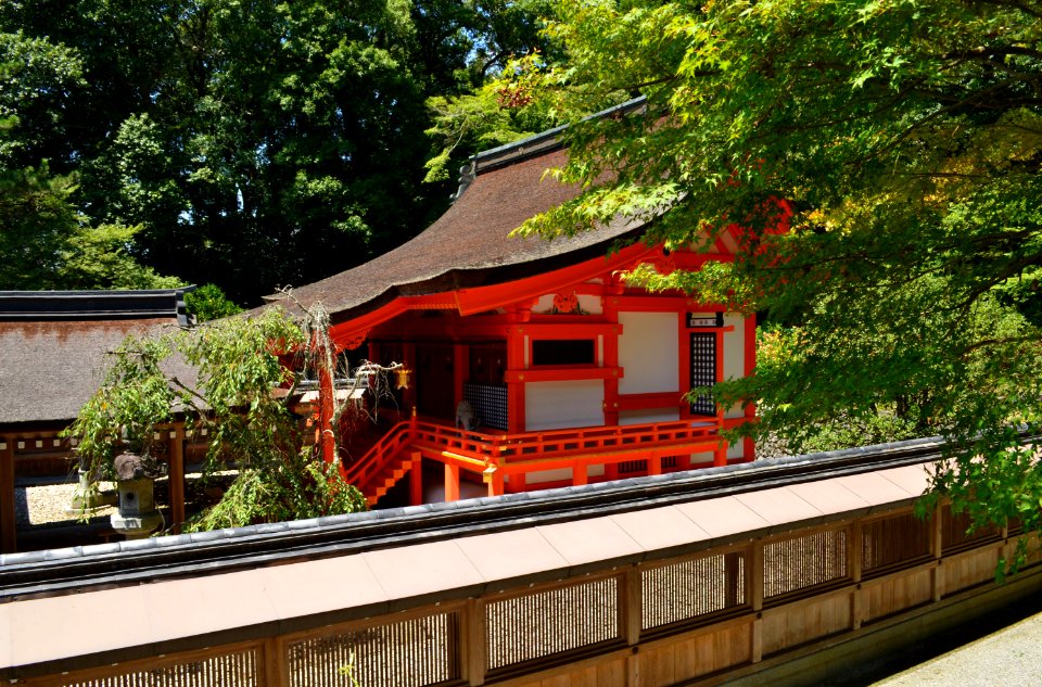Izumo-daijingū honden-2