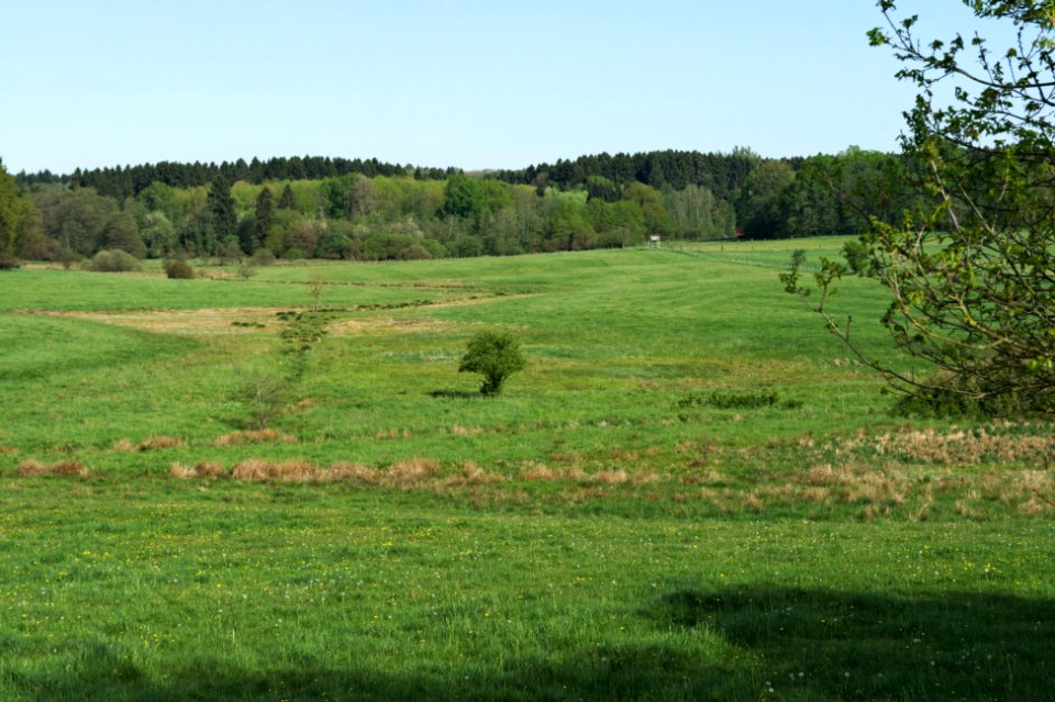 Irrlichtsweiher nature reserve (03)