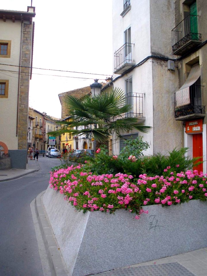 Jaca 09