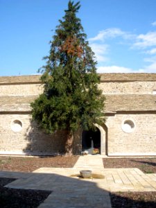 Jaca - Catedral, claustro y Museo Diocesano 01