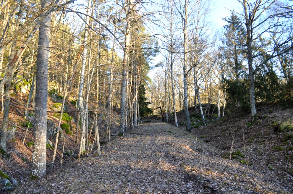 Järnvägsbank - Stenhammar naturreservat 2