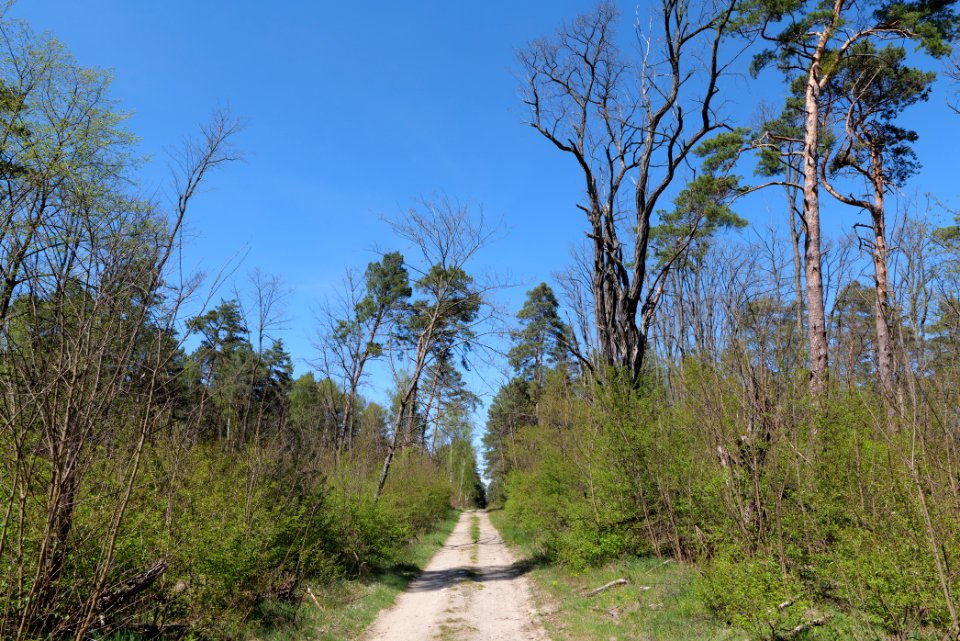 Jägersberg-Schirknitzberg 2021-05-09 33