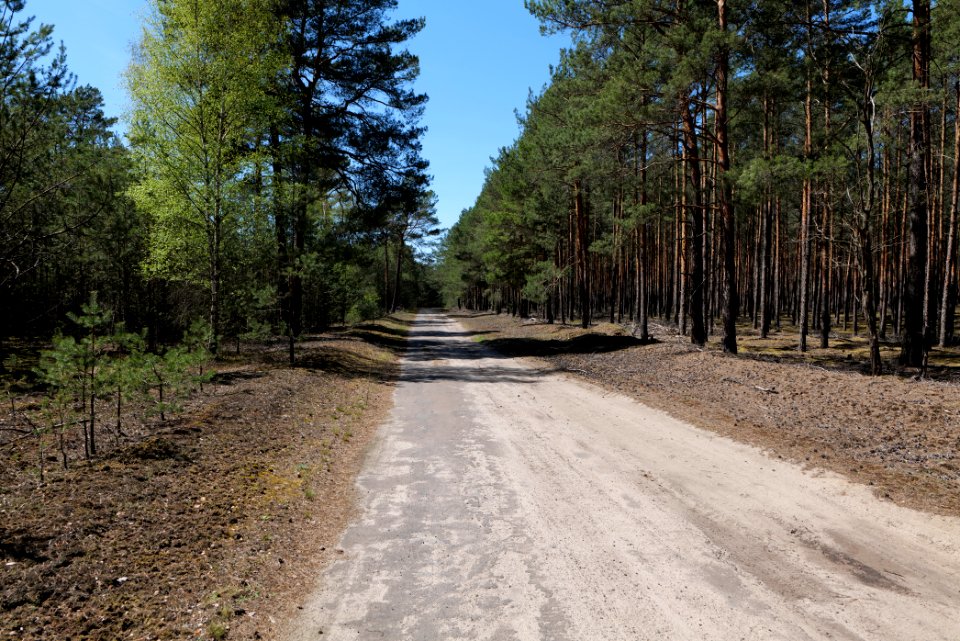 Jägersberg-Schirknitzberg 2021-05-09 01