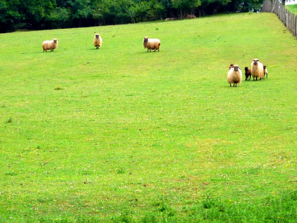 Izarra (Urkabustaiz) 27
