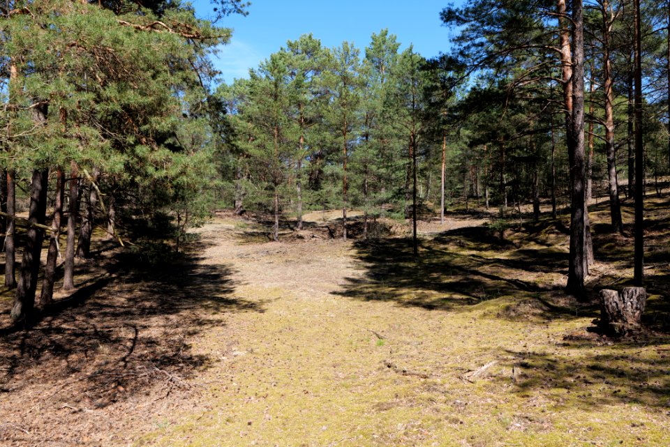 Jägersberg-Schirknitzberg 2021-05-09 19