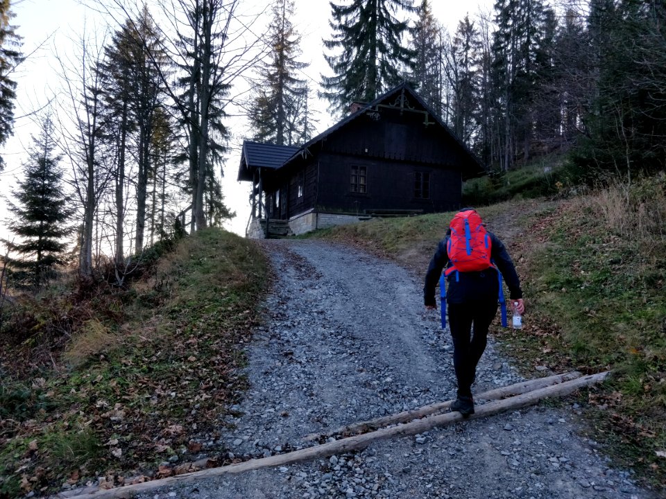 Izba leśna 