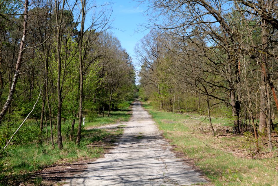 Jägersberg-Schirknitzberg 2021-05-09 50
