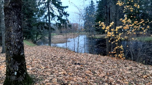 Jägala river in Kehra