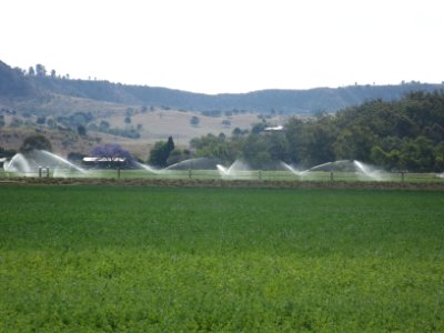 Irrigation at Winwill