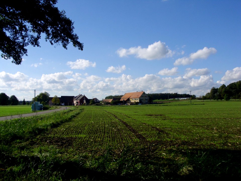 Irrebach 2014-10 (03 von W aus)