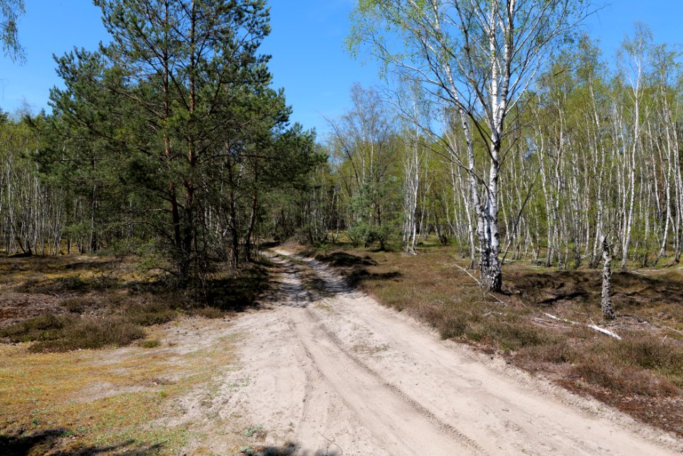 Jägersberg-Schirknitzberg 2021-05-09 09