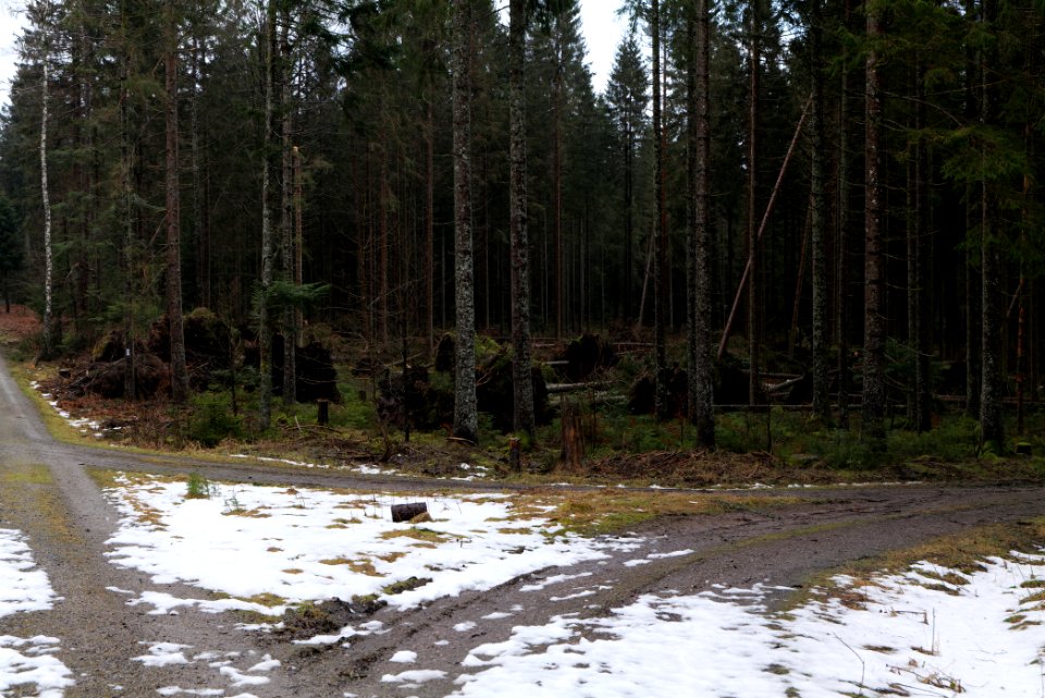 Jägerpfad Freudenstadt 2020-03-12 01