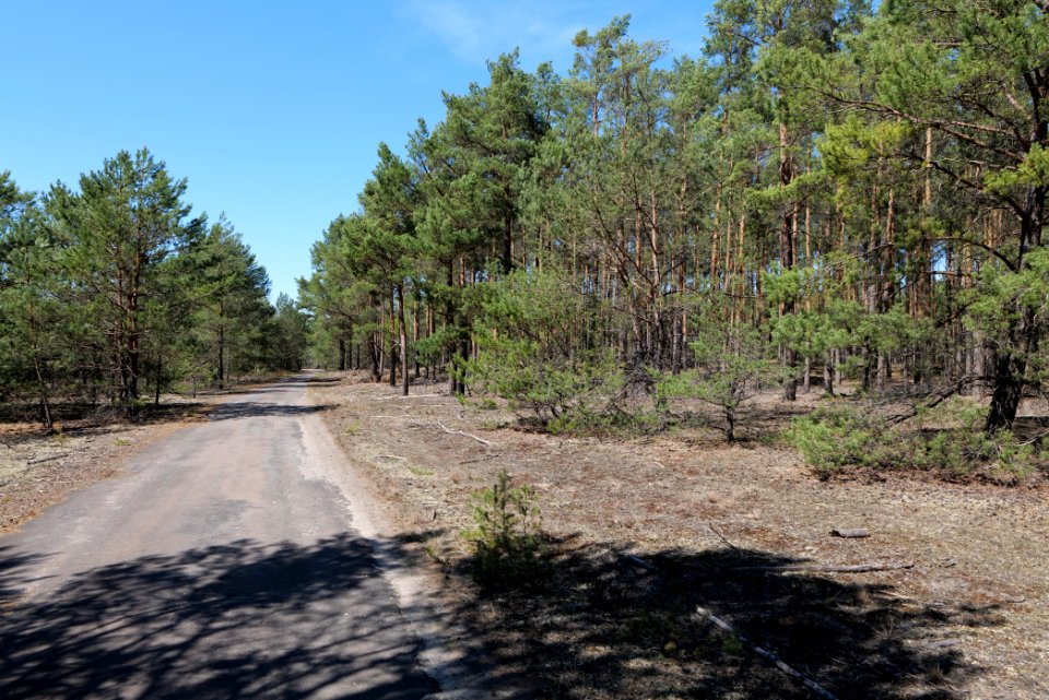 Jägersberg-Schirknitzberg 2021-05-09 04