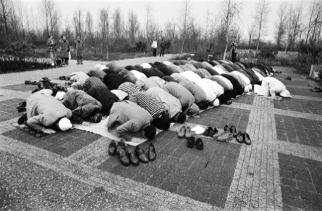 Islamitische begraafplaats in gebruik genomen op Westgaar (Amsterdam) biddende , Bestanddeelnr 930-0483