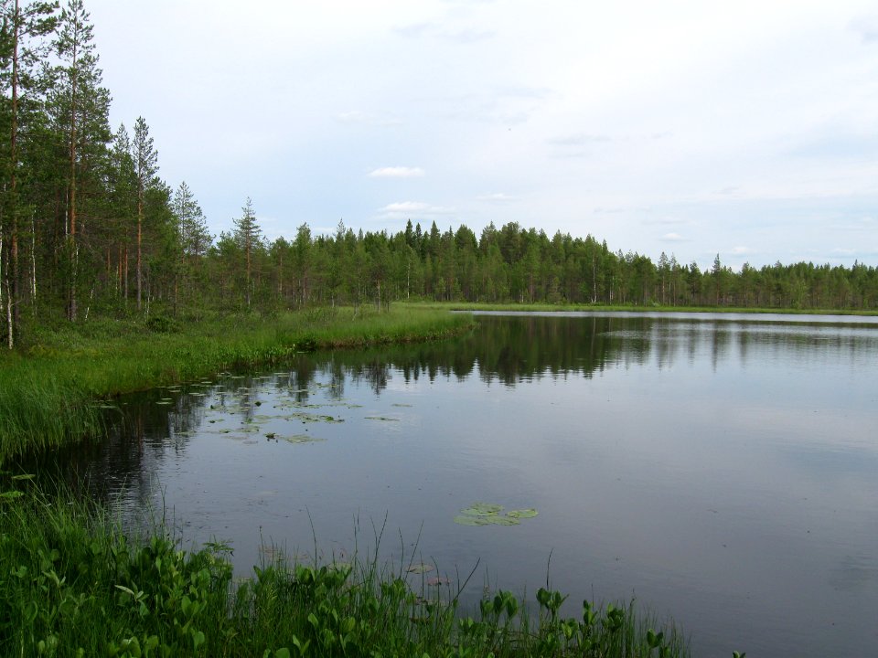 Iso Kuikkalampi Utajärvi