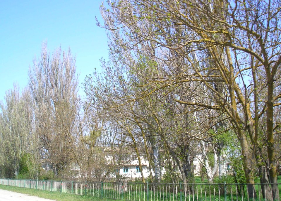 IshunKrpr 9