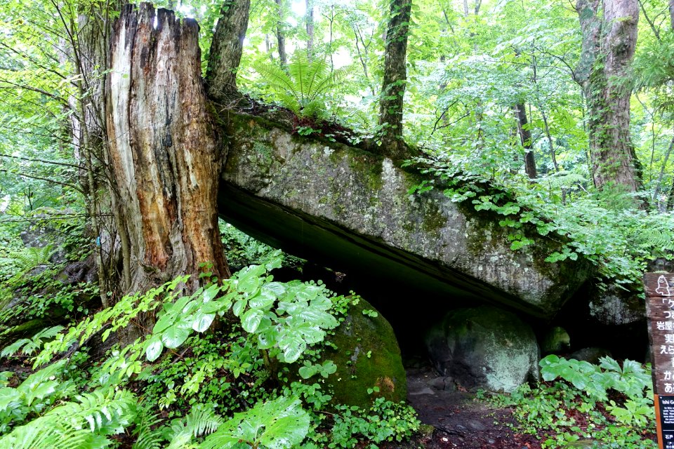 Ishigedo - Oirase Mountain Stream - Towada, Aomori - DSC01009