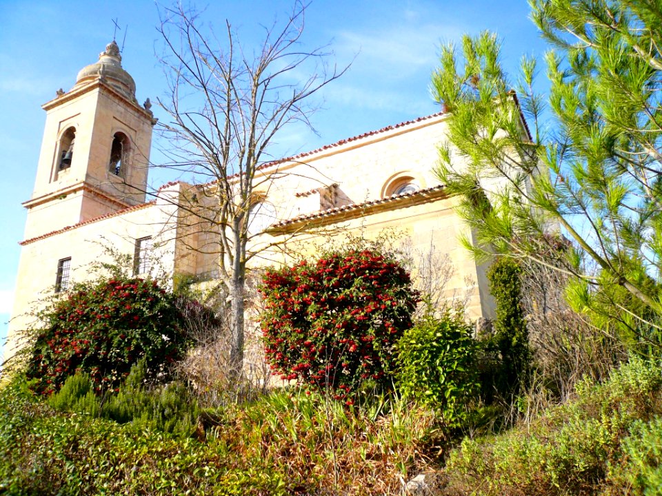 Ircio - Iglesia de San Pedro 14