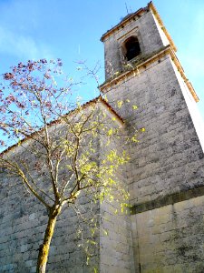 Ircio - Iglesia de San Pedro 18