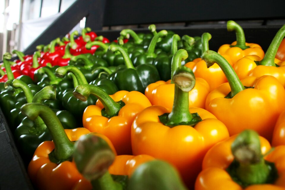 Orange vegetable food